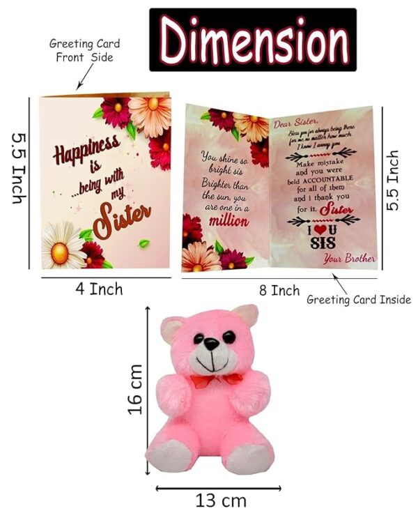 Gift for Sister, Return Rakhi Gift for Sister, Anniversary Gift for Sister, Birthday Gift for Sister - Pink Teddy Gift for Sister - Image 2