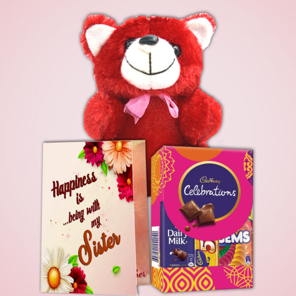 Raksha Bandhan Rakhi Gifts Combo for Siblings – Best Rakhi Gift Hampers Online